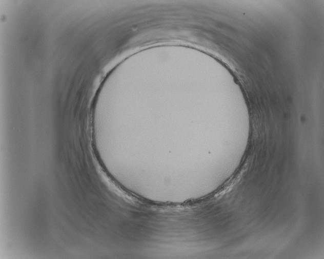 X0000075871526200610151648