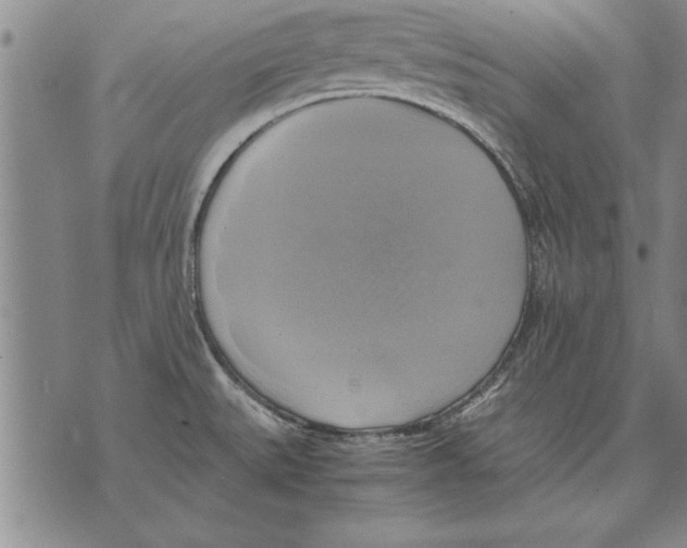 X0000075871527200610151648