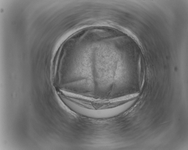 X0000075871528200610151648