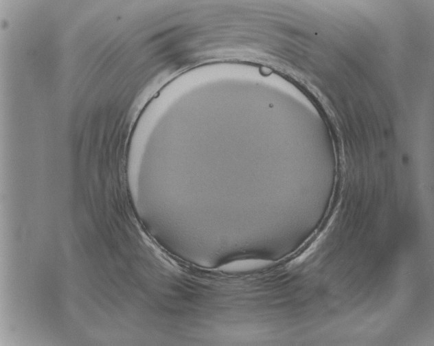 X0000075871529200610151648