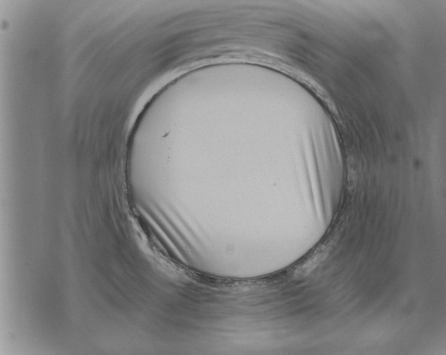 X0000075871530200610151648