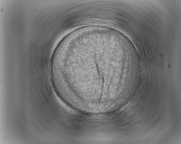 X0000075871531200610151648