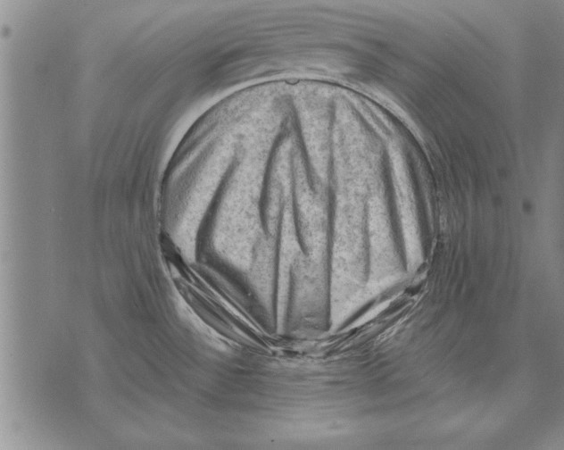 X0000075871532200610151648