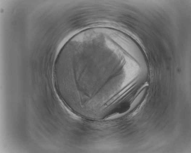 X0000075871533200610151648