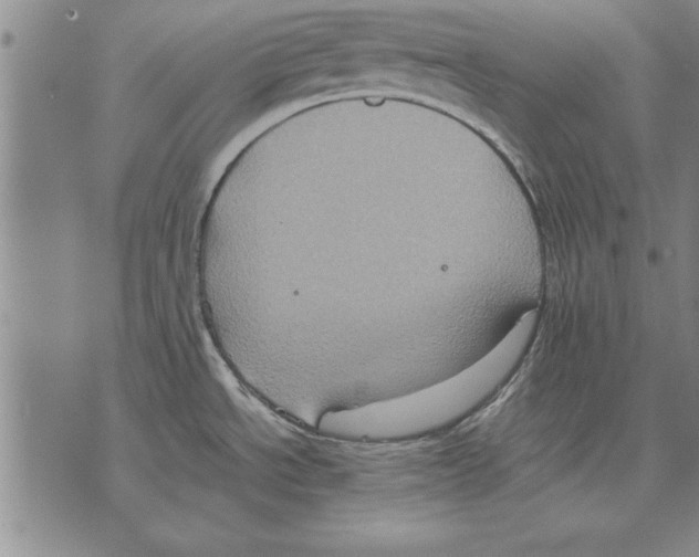 X0000075871534200610151648