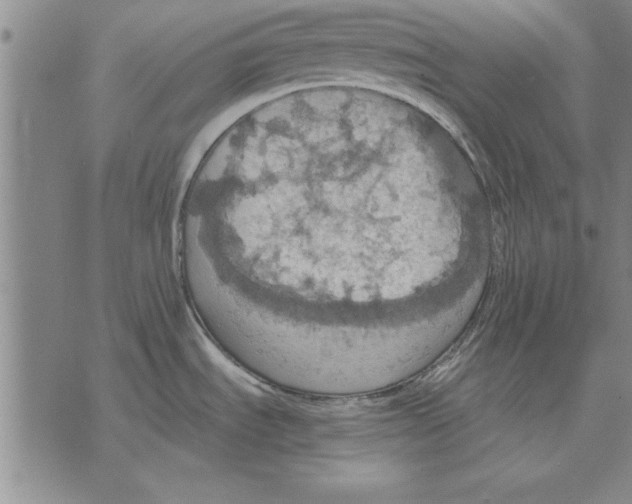 X0000075871535200610151648