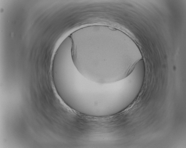 X0000075871536200610151648