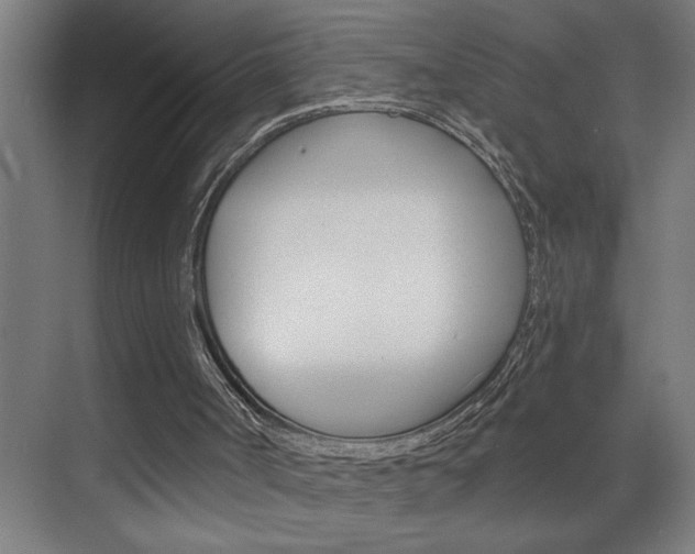 X0000075880002200609151019