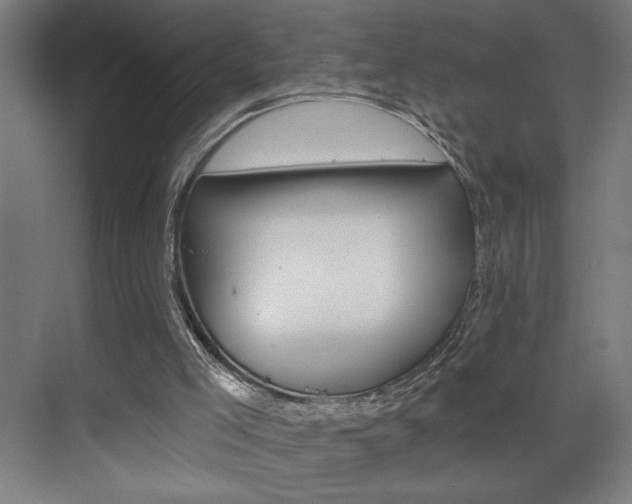 X0000075880005200609151019