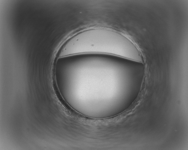 X0000075880007200609151019