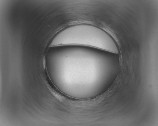 X0000075880013200609151019