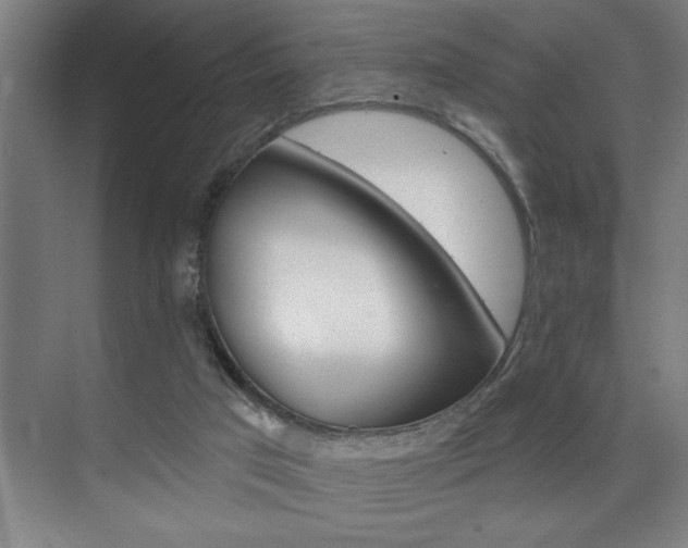 X0000075880017200609151019