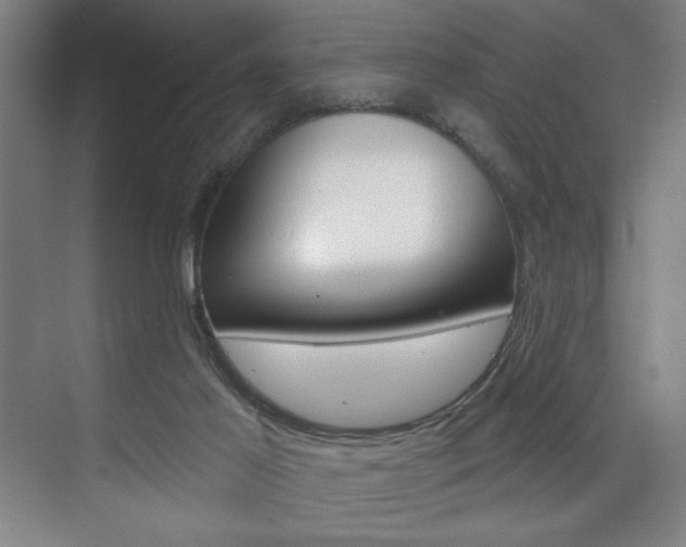 X0000075880021200609151019