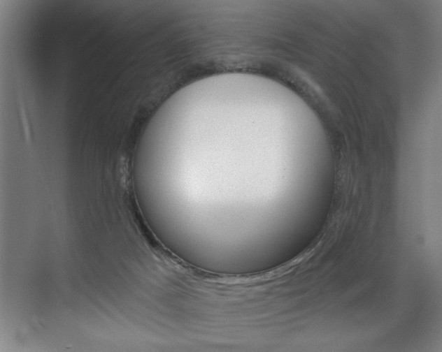 X0000075880025200609151019