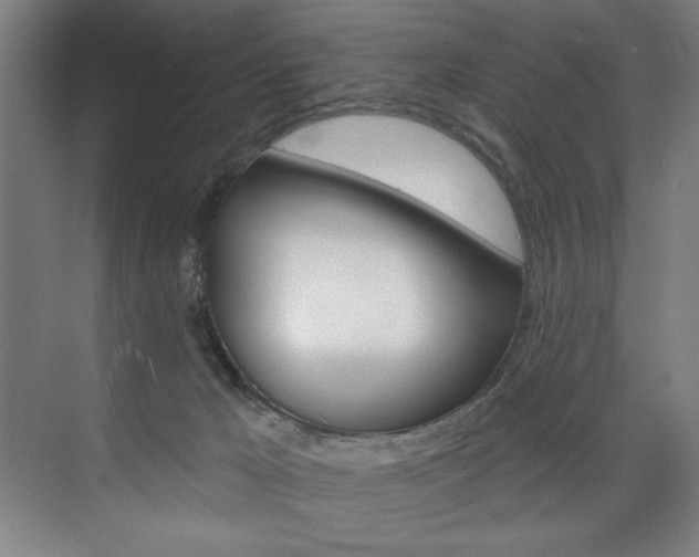 X0000075880029200609151019