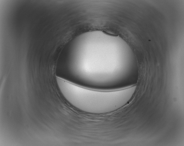 X0000075880033200609151019