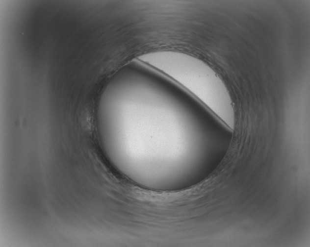 X0000075880039200609151019