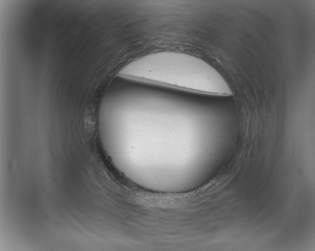 X0000075880040200609151019