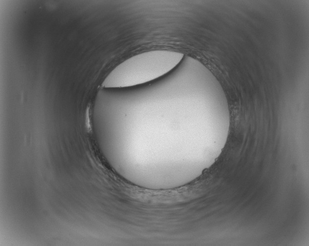 X0000075880042200609151019