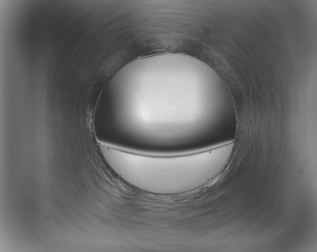 X0000075880045200609151018