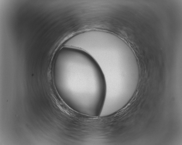 X0000075880050200609151018