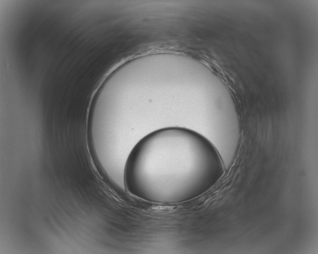 X0000075880052200609151018