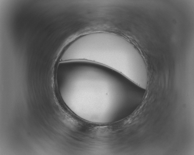X0000075880054200609151018
