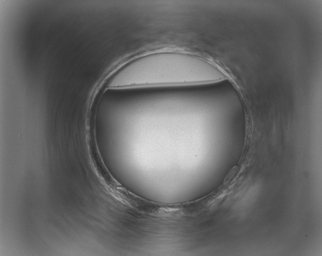 X0000075880055200609151018