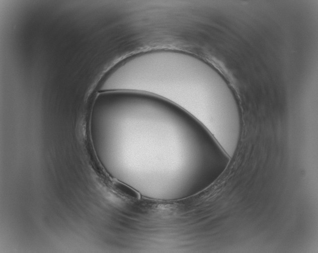 X0000075880060200609151018