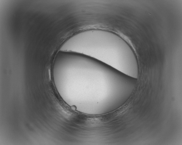 X0000075880061200609151018