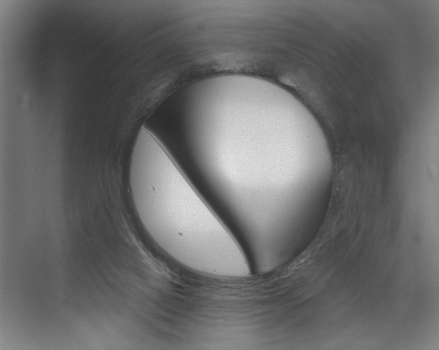 X0000075880066200609151018