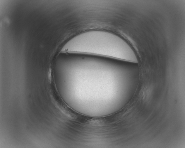 X0000075880067200609151018