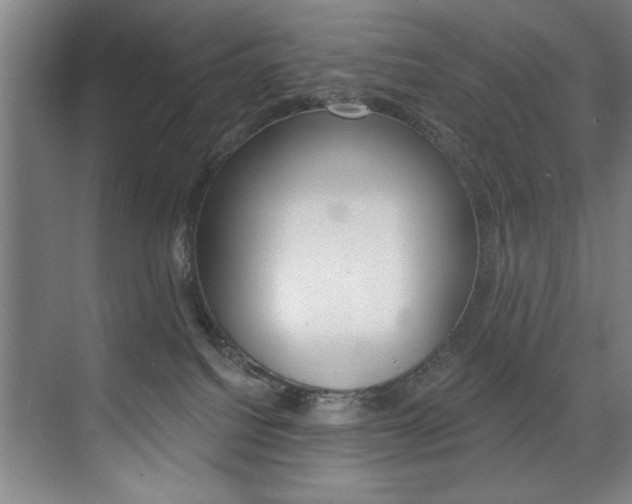 X0000075880088200609151018