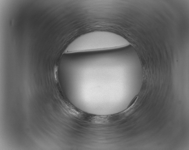 X0000075880094200609151018