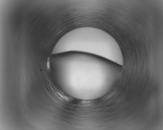 X0000075880095200609151018