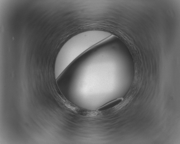 X0000075880096200609151018