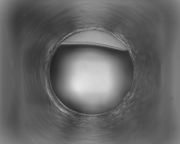 X0000075880097200609151018