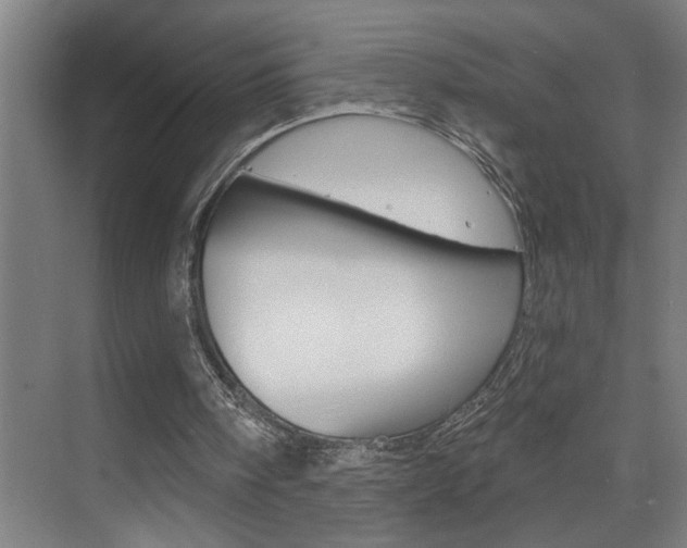 X0000075880098200609151018