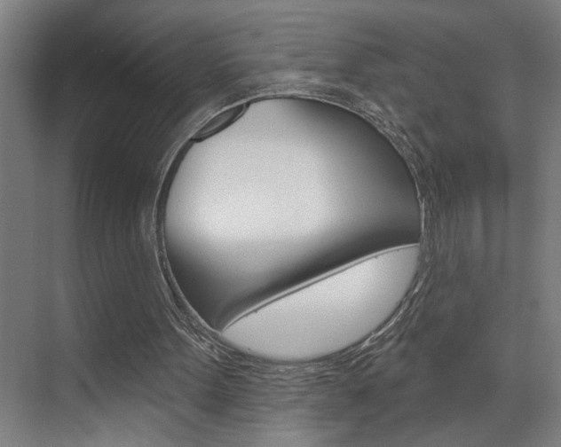X0000075880099200609151018