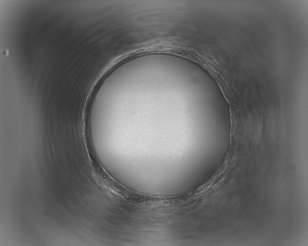 X0000075880100200609151018