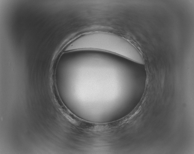 X0000075880101200609151018