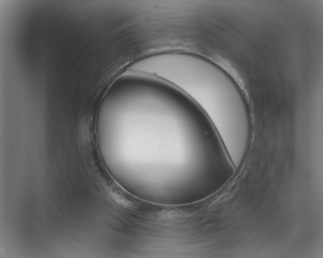 X0000075880105200609151017