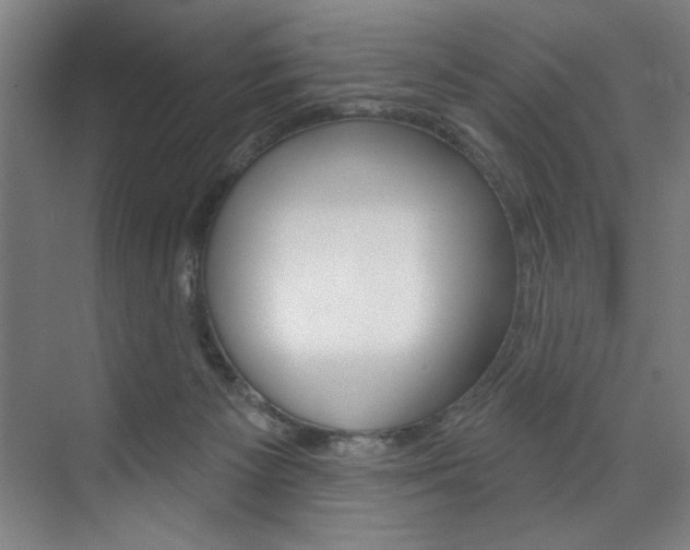 X0000075880125200609151017