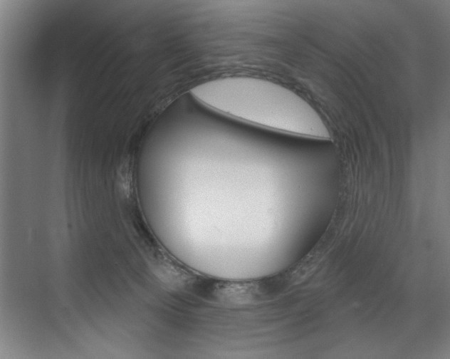 X0000075880129200609151017