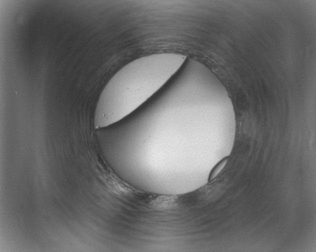 X0000075880138200609151017