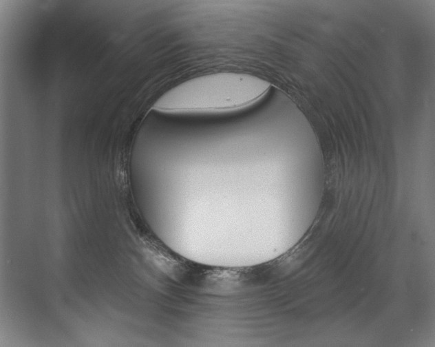 X0000075880140200609151017