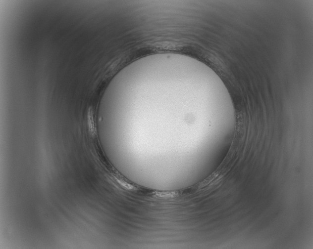 X0000075880143200609151017