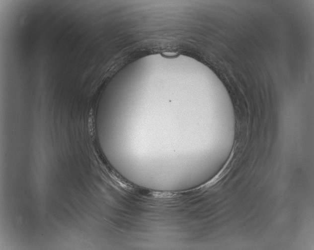 X0000075880144200609151017