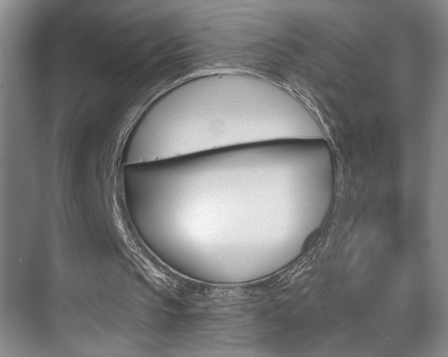 X0000075880145200609151016