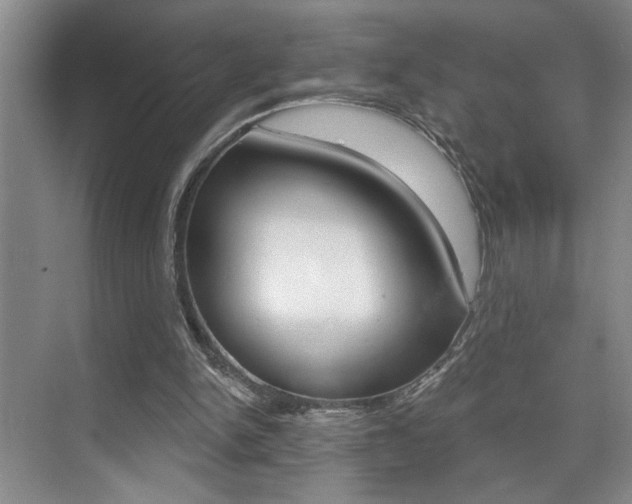 X0000075880150200609151016